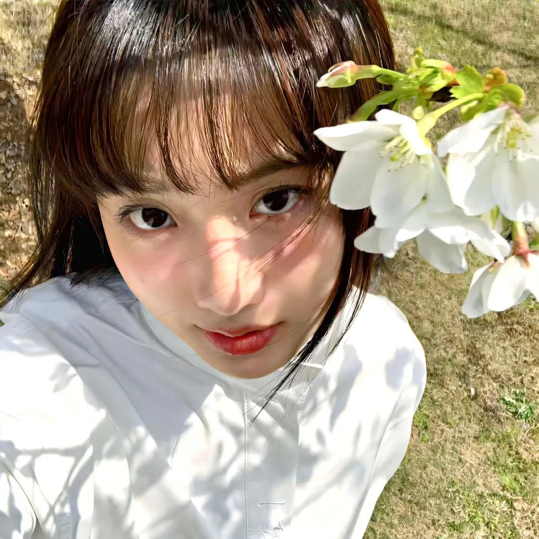 卡波特 在线观看