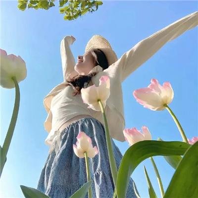 柿子坞的女人们 在线观看